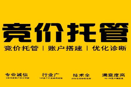 百度竞价开户与优化：企业成功案例解析与启示